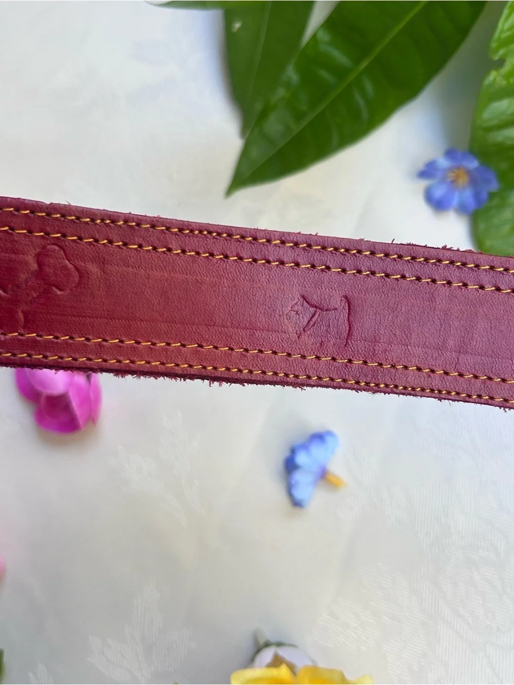 Leather Dog Collar Burgundy Red Adjustable 15-21